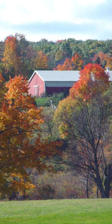 Farmhouse in autumn