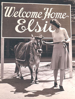 Welcome Home Elsie