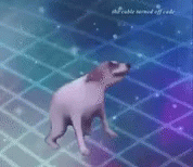 Dog celebrating on the hyperspace dance floor.