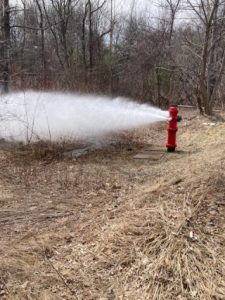 Hydrant Flushing